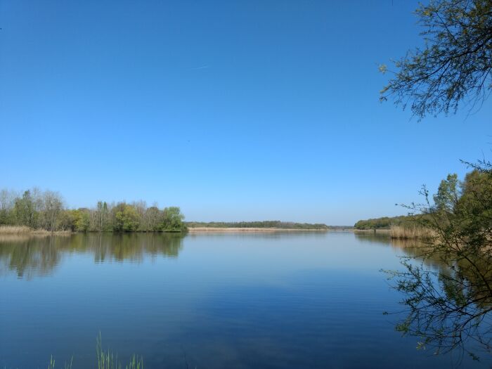Etang Horre - ®OT Grands Lacs de Champagne A.L (4).jpg ®OT Grands Lacs de Champagne - Adeline LOISON