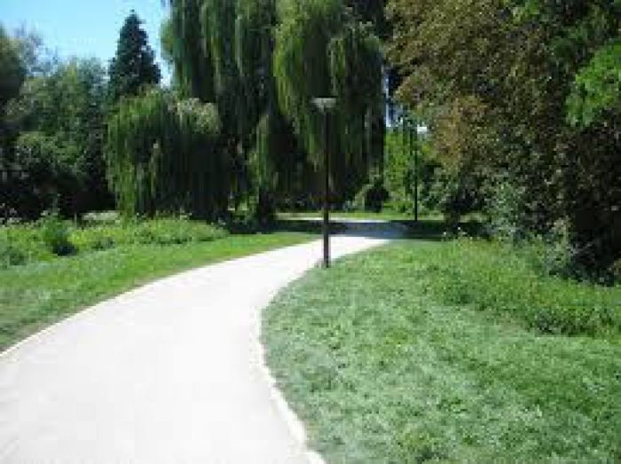 Photo auboisement correct